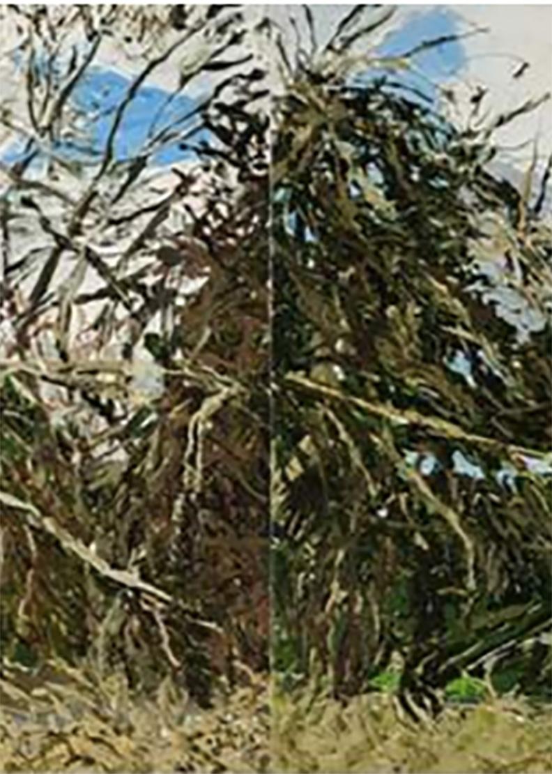 Baldwin Hill Road, Tangled Bushes, Baldwin (Amerikanischer Realismus), Painting, von Margaret Grimes