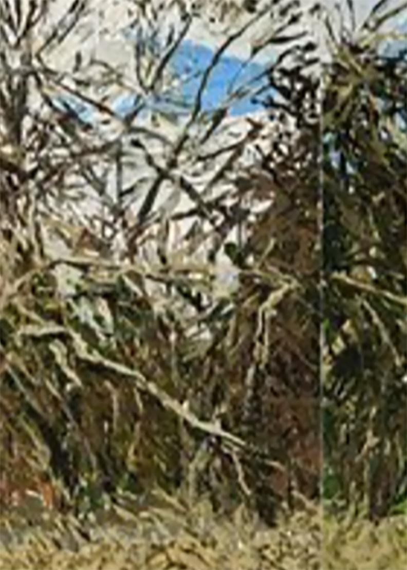 Margaret Grimes Landscape Painting – Baldwin Hill Road, Tangled Bushes, Baldwin