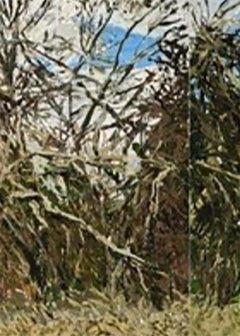 Baldwin Hill Road, Tangled Bushes, Baldwin