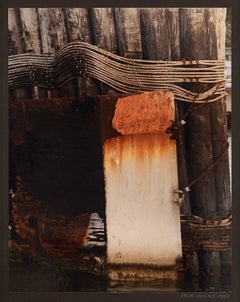 Wisdom by Margaret Hicks, 1990, C-Print, Photography