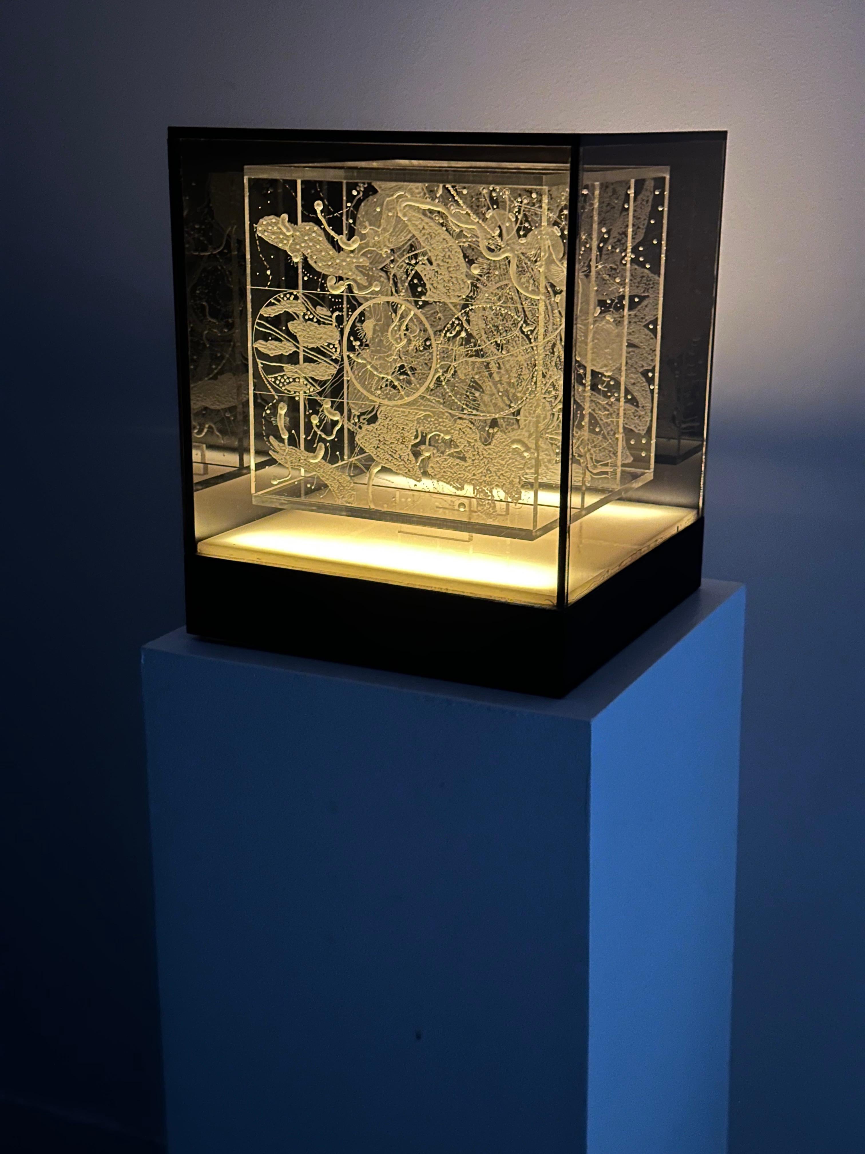 Schwebende Bilder – Sculpture von Margaret Koscielny