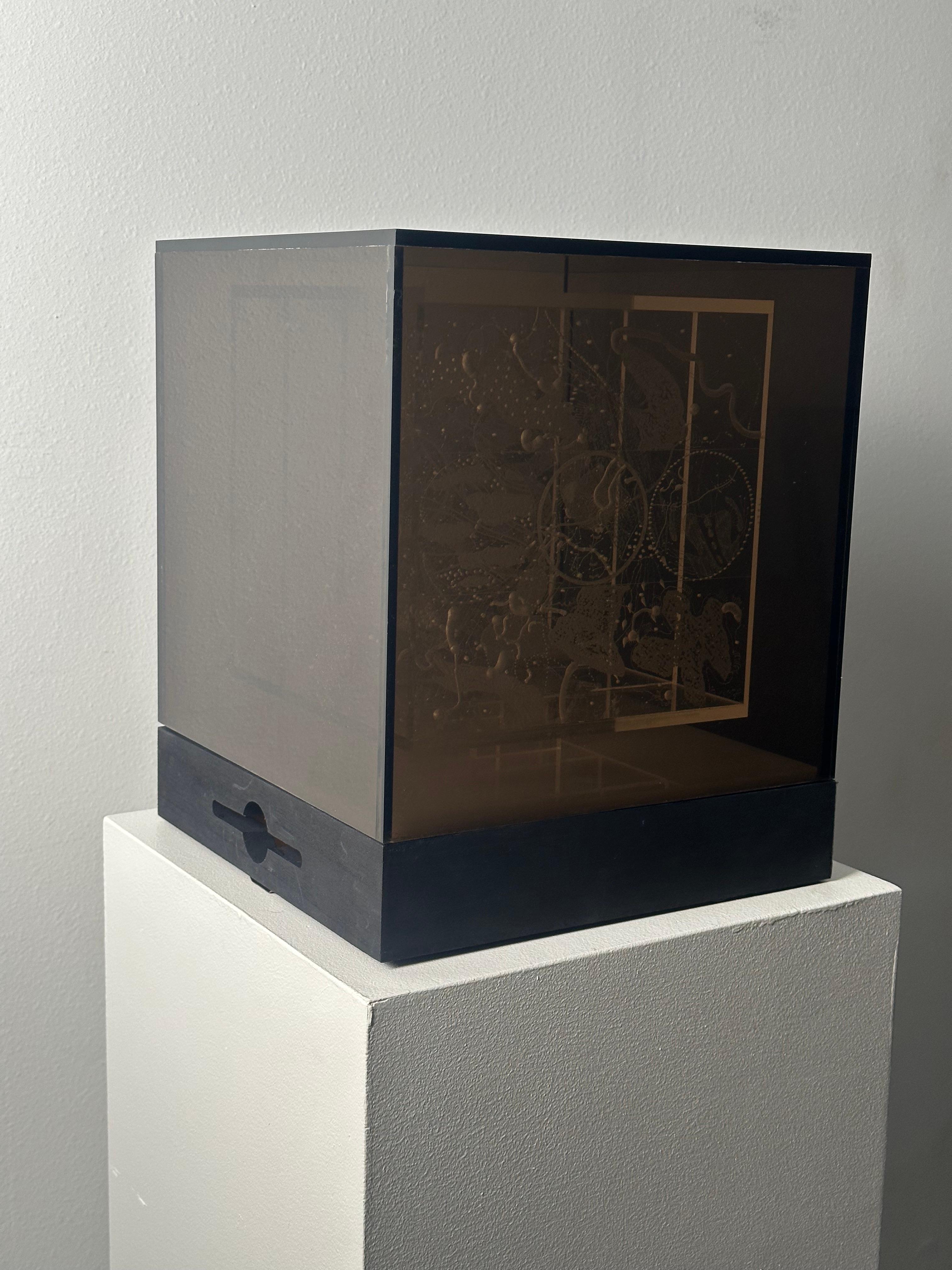 Schwebende Bilder (Abstrakt), Sculpture, von Margaret Koscielny