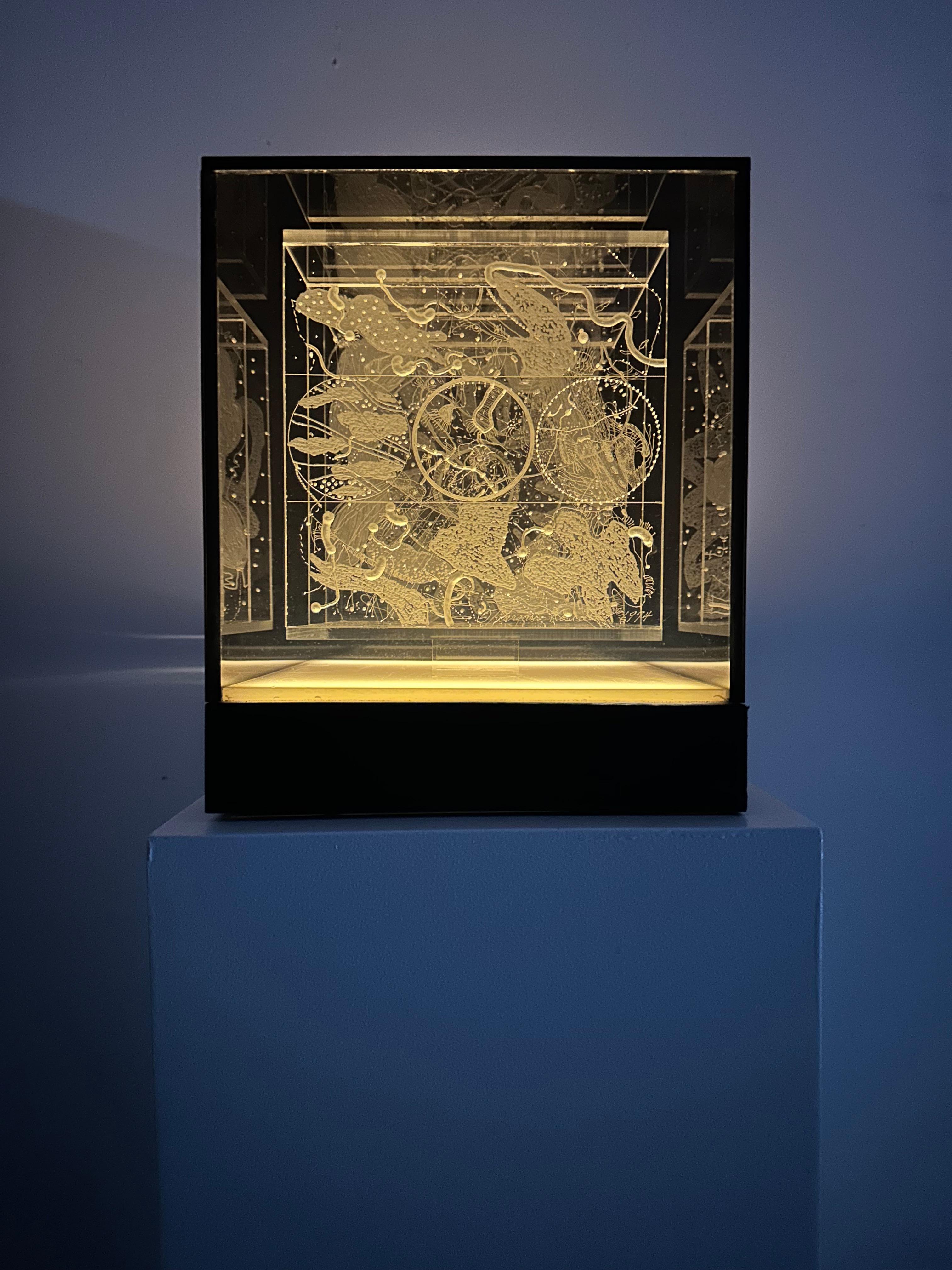 Margaret Koscielny Abstract Sculpture – Schwebende Bilder