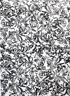 Brittle Spring Hyacinths, Abstract Black and White Botanical Pattern Painting