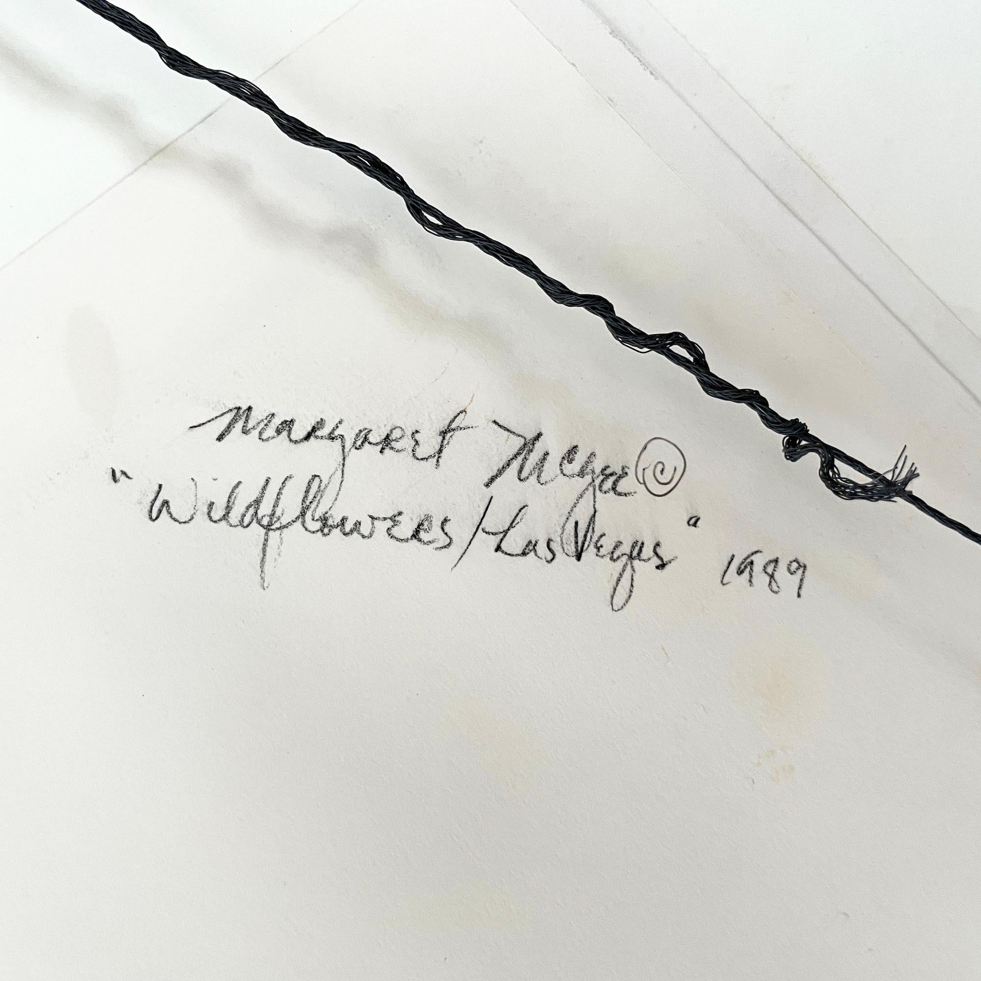 Margaret McGee „Wildflowers/Las Vegas“, Öl auf Papier, Margaret McGee, 1989 im Angebot 3