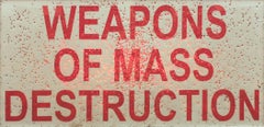 Margaret Roleke, Weapons of Mass Destruction, 2019, light box with video 