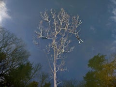 Hang Loose - Figure floating in blue water with tree reflection nature landscape