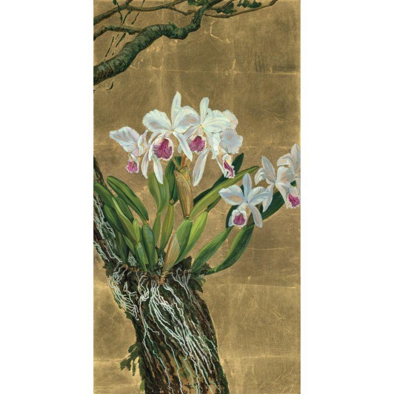 Cattleya labiata var. coerulea, 2020

Tempera on canvas with gilding inch 29.5 x 15.7

Botanical watercolourist. Born in Bergamo in 1974. She graduated from the Brera Academy of Fine Arts in Milan in 1997. In the same year, she spent six months in