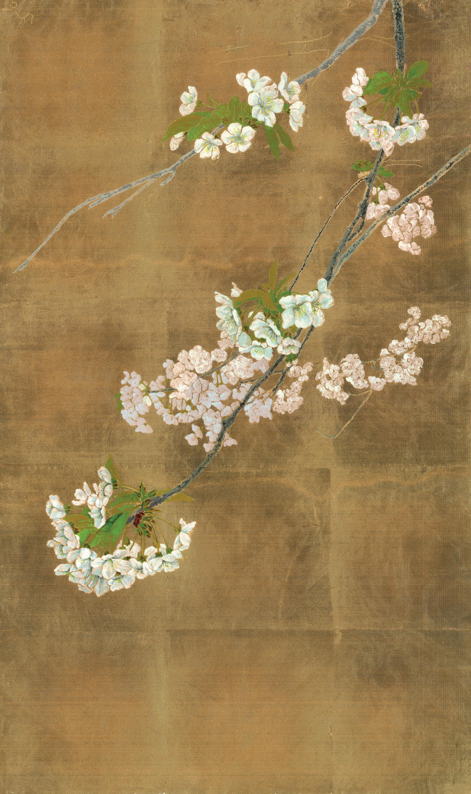 Cherry tree - Painting by Margherita Leoni