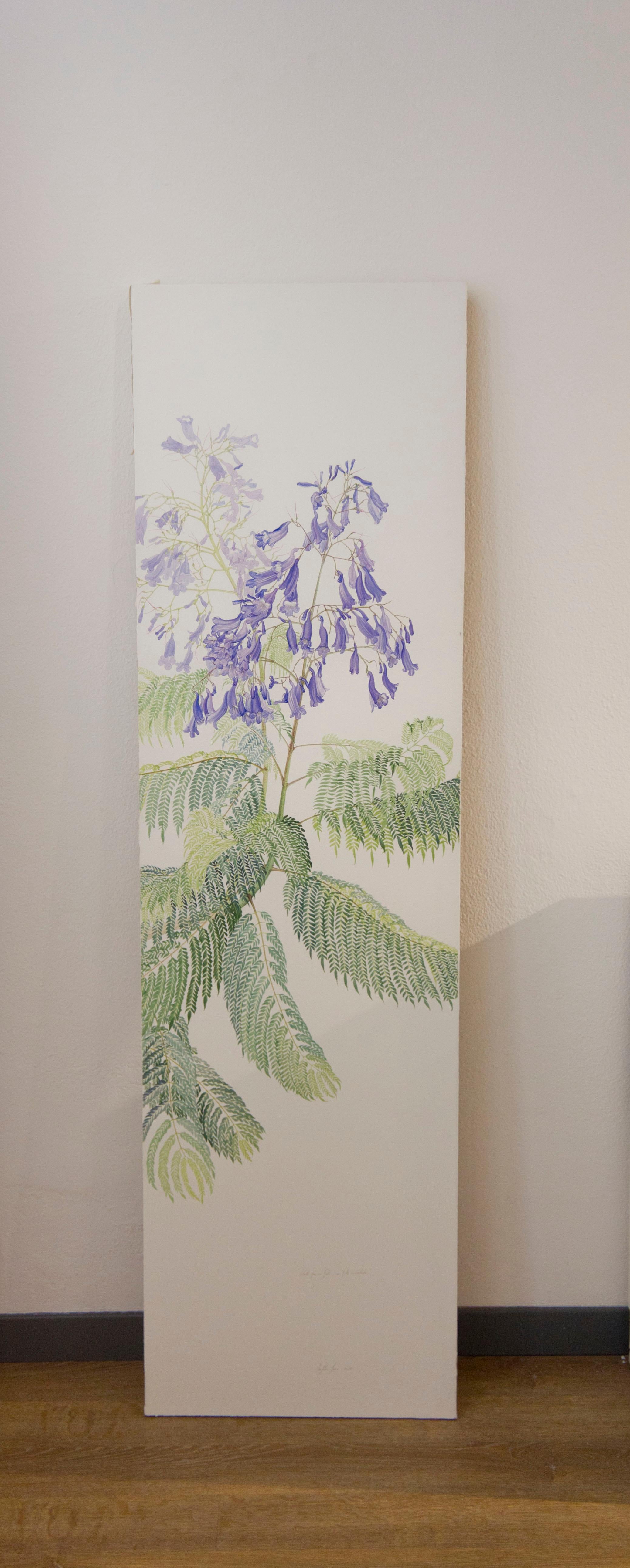 Jacaranda cuspidifolia, Watercolor On Paper by Margherita Leoni, 2010 For Sale 1