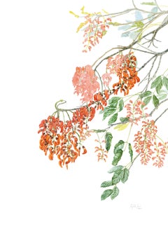 Orange brazilan plant painting by master botanic watercolourist 