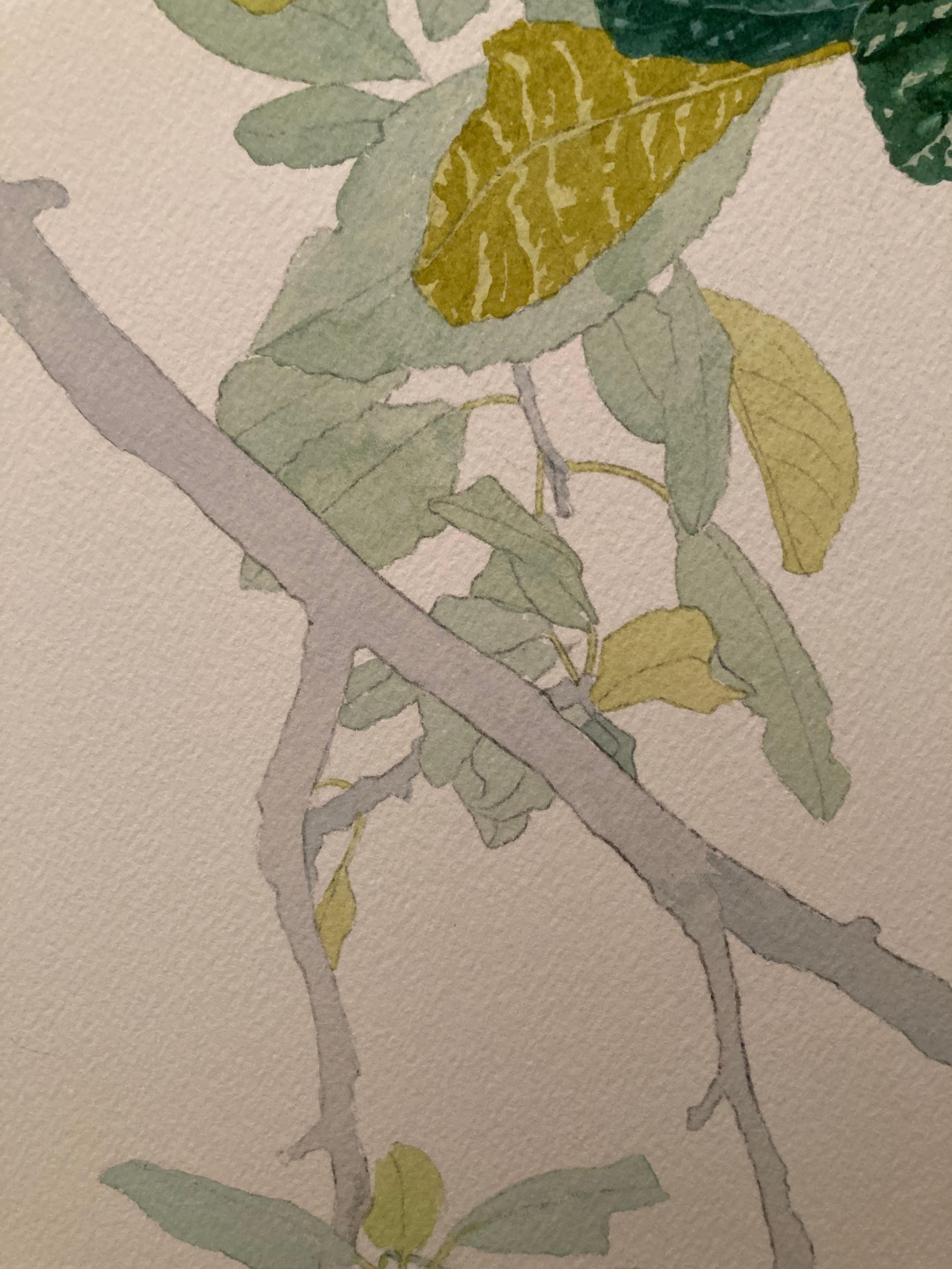 Albero di prugne viola e verde, dipinto da un raffinato acquerellista italiano - Figurative Painting Verde di Margherita Leoni