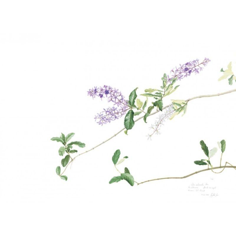 Figurative Painting di Margherita Leoni - Fiore esotico viola e violetto, opera di un raffinato acquerellista italiano