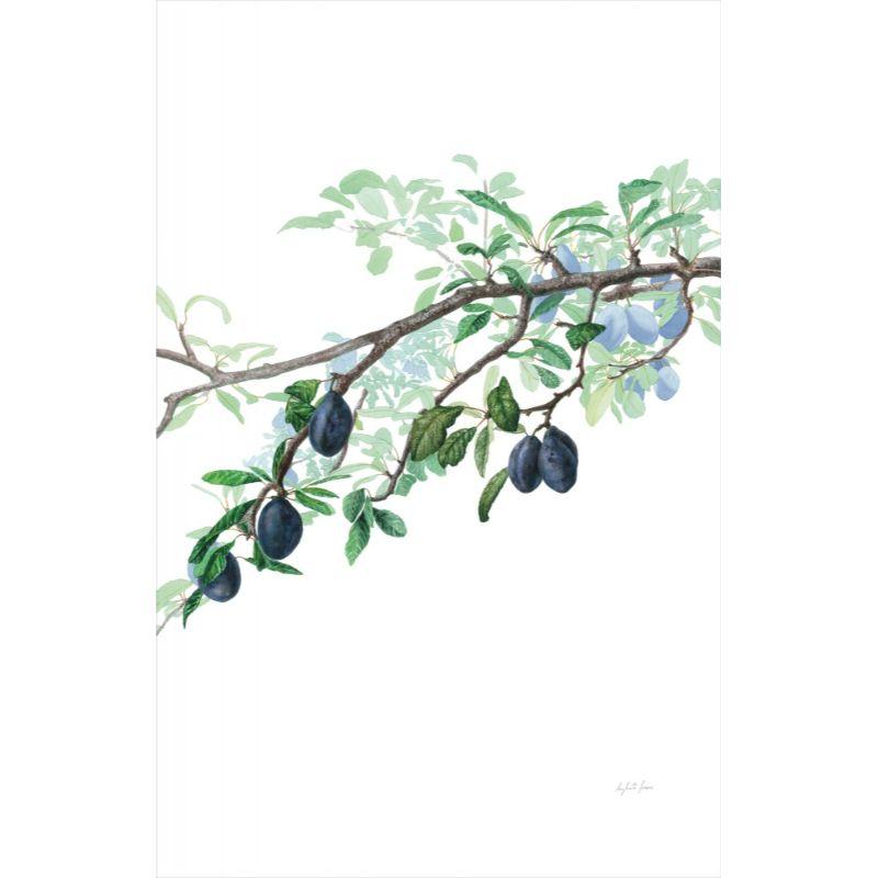 Margherita Leoni Figurative Painting - violet and green tree with plums, by master italian painter