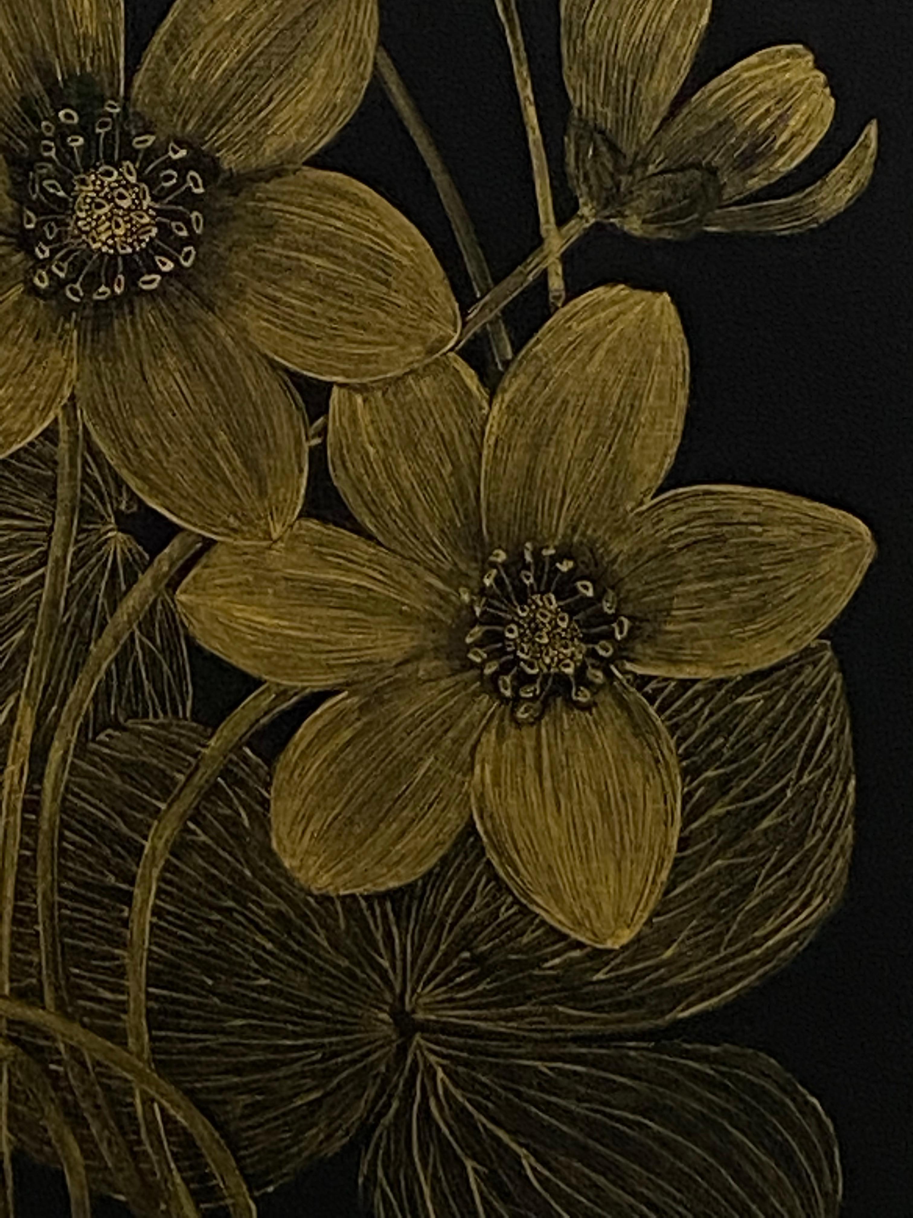 This delicate botanical drawing is made with gold acrylic on cradled panel, painted black. The exploration of ephemerality, and the fragility of a wild anemone flower, its leaves, petals and buds are the focus of this painting by Margot Glass. The