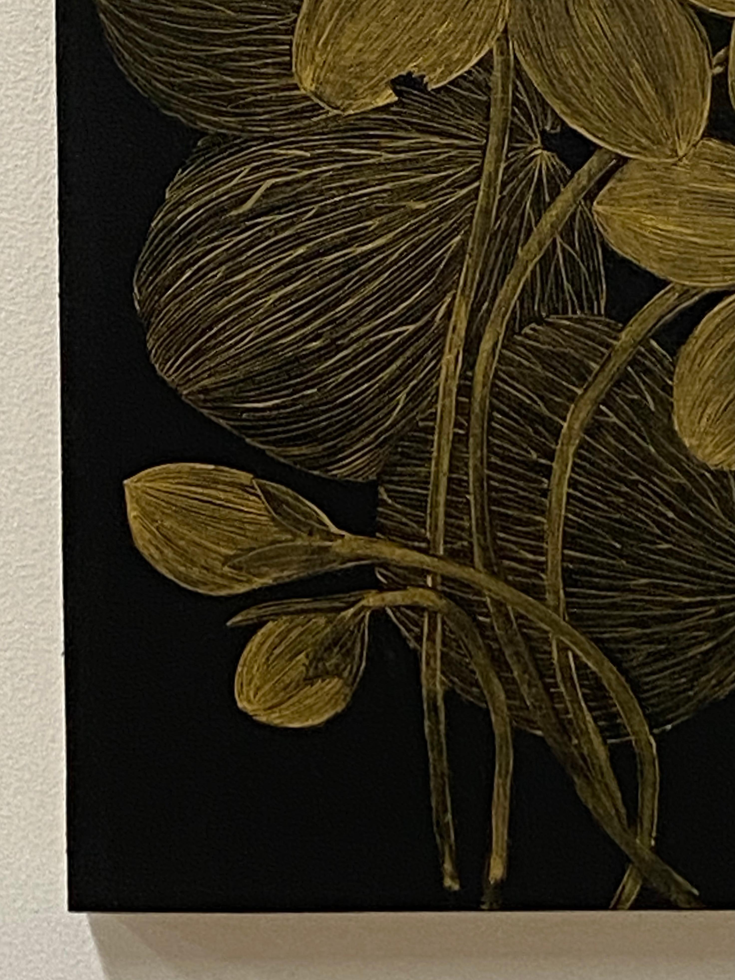 This delicate botanical drawing is made with gold acrylic on cradled panel, painted black. The exploration of ephemerality, and the fragility of a wild anemone flower, its leaves, petals and buds are the focus of this painting by Margot Glass. The