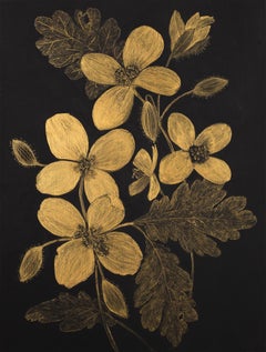 Celandine, Botanical Painting Gold Flowers, Black Panel, Leaves, Stem, Buds
