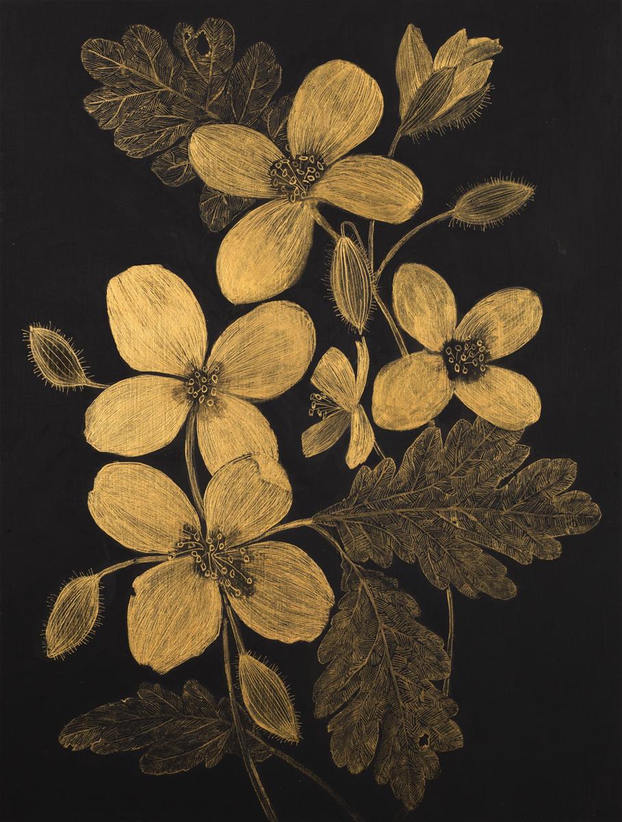 Celandine, Botanical Painting Gold Flowers on Black Panel, Leaves, Stem, Buds
