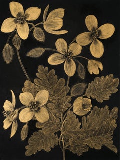 Celandine Two, Botanical Painting Black Panel, Gold Flowers, Leaves, Stem, Buds