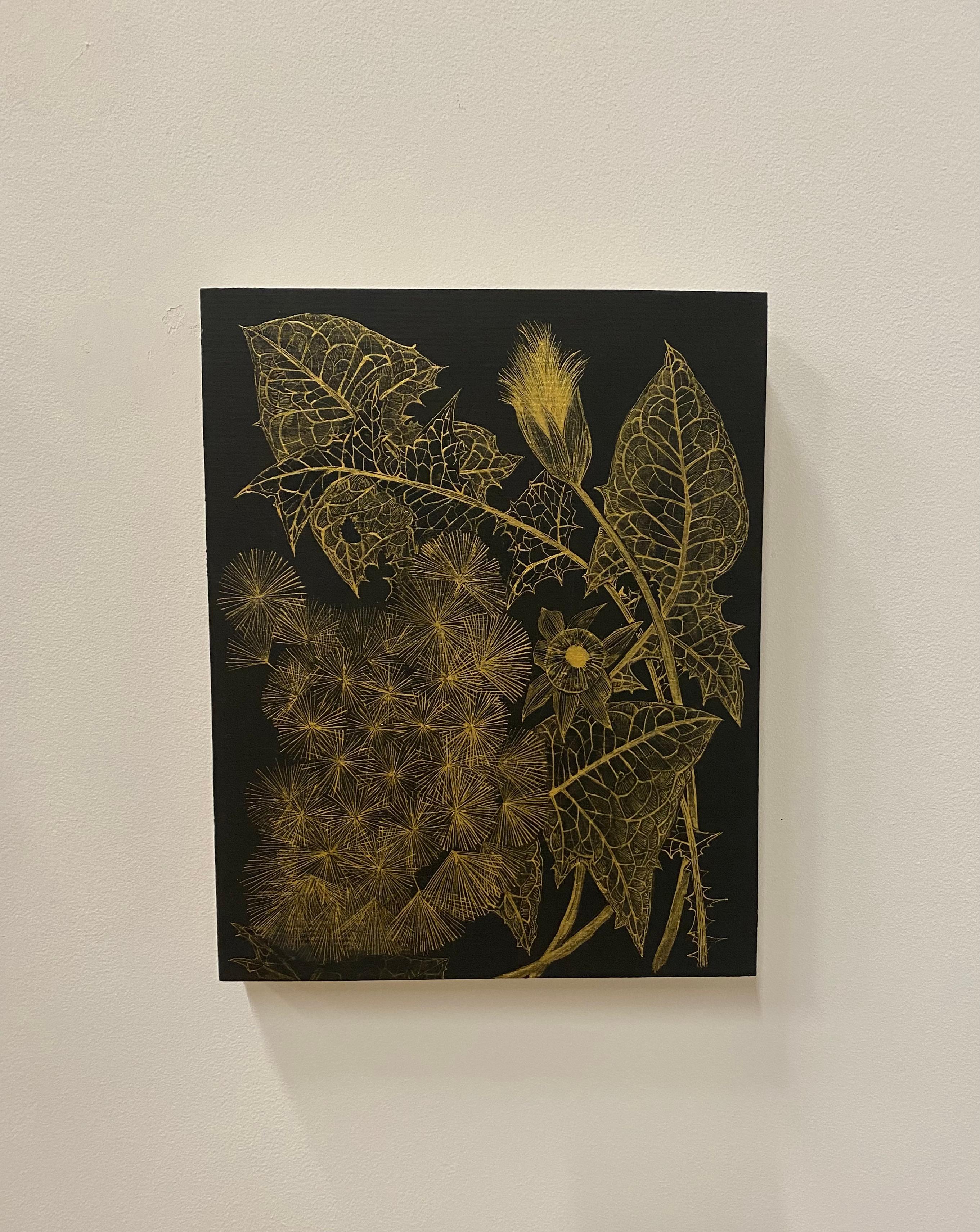 Dandelion Two, Botanical Painting, Black Panel, Gold Plant, Leaves, Stem, Bud For Sale 1