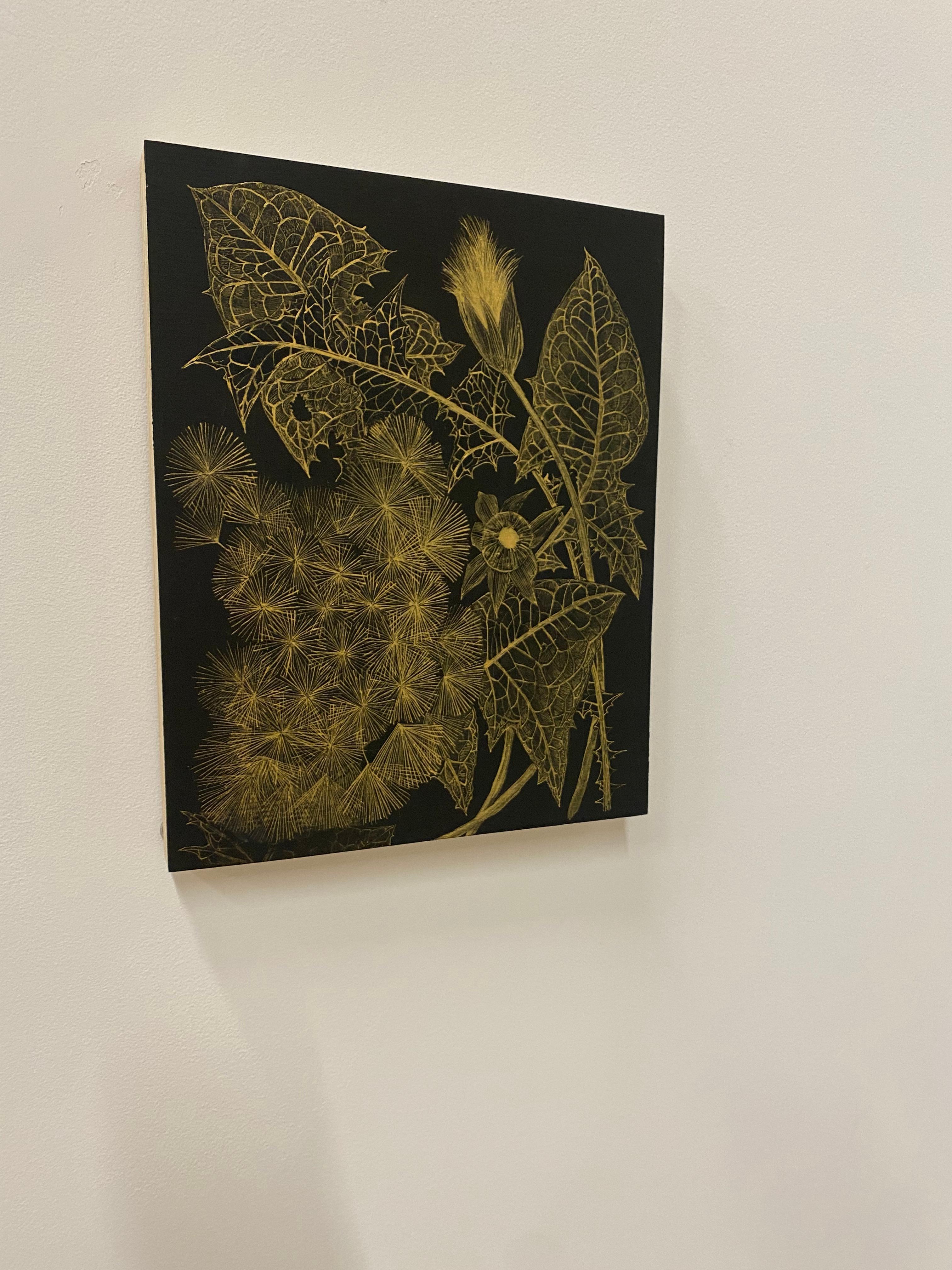 Dandelion Two, Botanical Painting, Black Panel, Gold Plant, Leaves, Stem, Bud For Sale 2