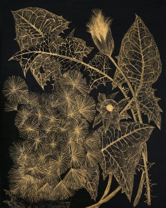 Dandelion Two, Botanisches Gemälde, Schwarzes Paneel, Goldpflanze, Blätter, Stiel, Knospen