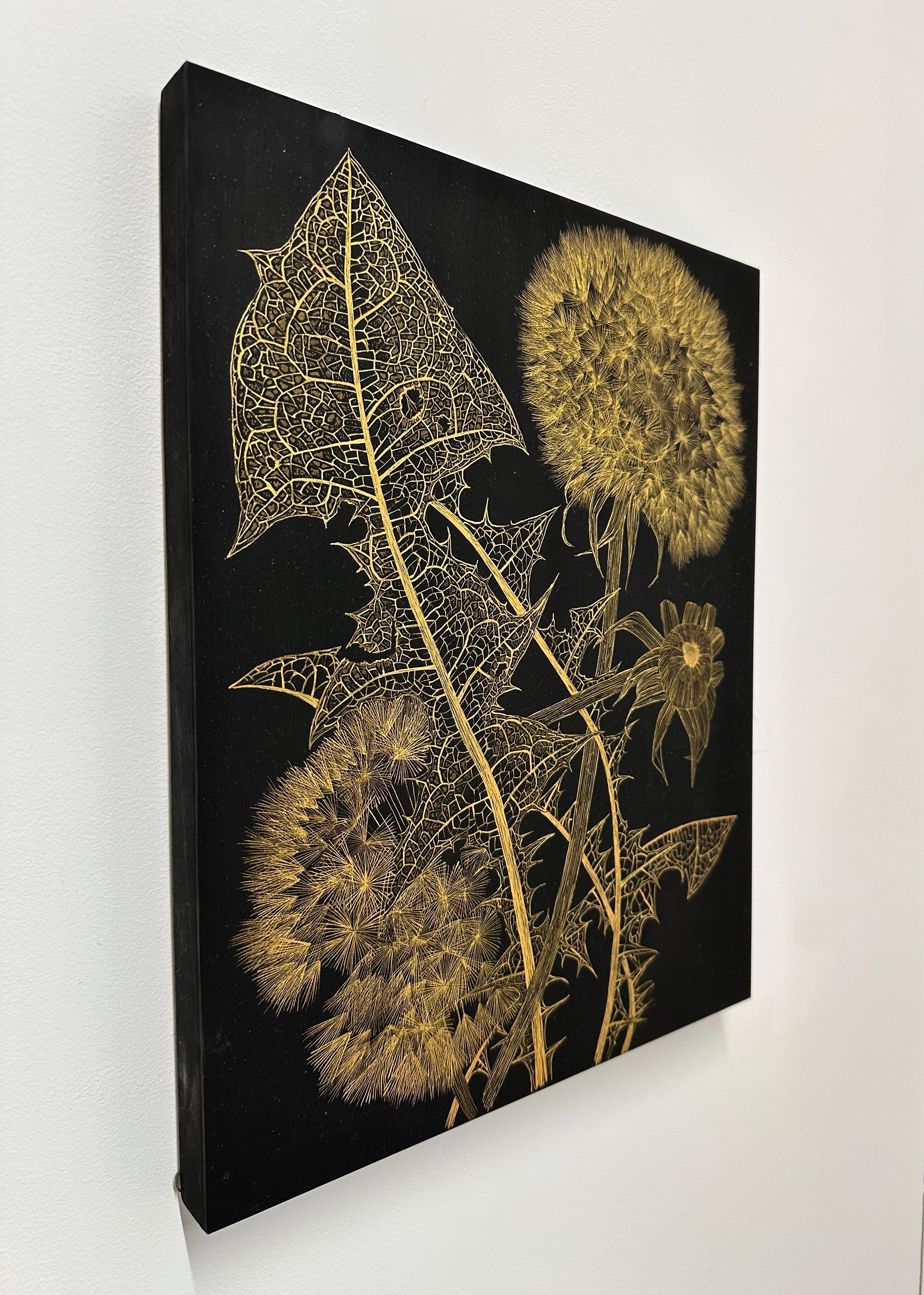 Este delicado dibujo botánico está realizado con pintura al óleo de oro metálico luminoso sobre panel acunado, pintado de negro. La exploración de lo efímero y la fragilidad de un diente de león silvestre, sus hojas, pétalos y capullos son el centro
