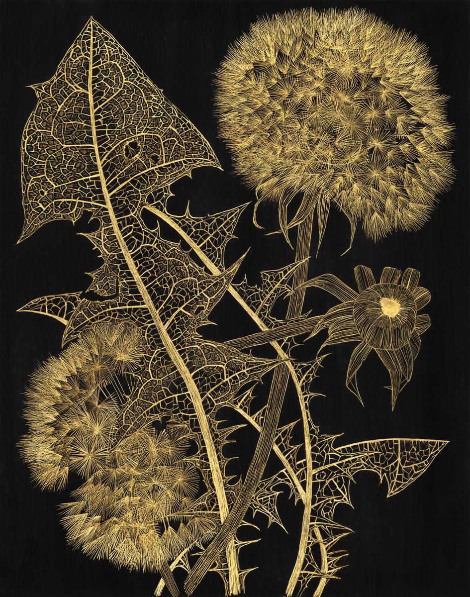 Dientes De León Con Brote Dos, Hojas De Planta De Diente De León Doradas, Tallo, Botánico Sobre Negro - Painting de Margot Glass