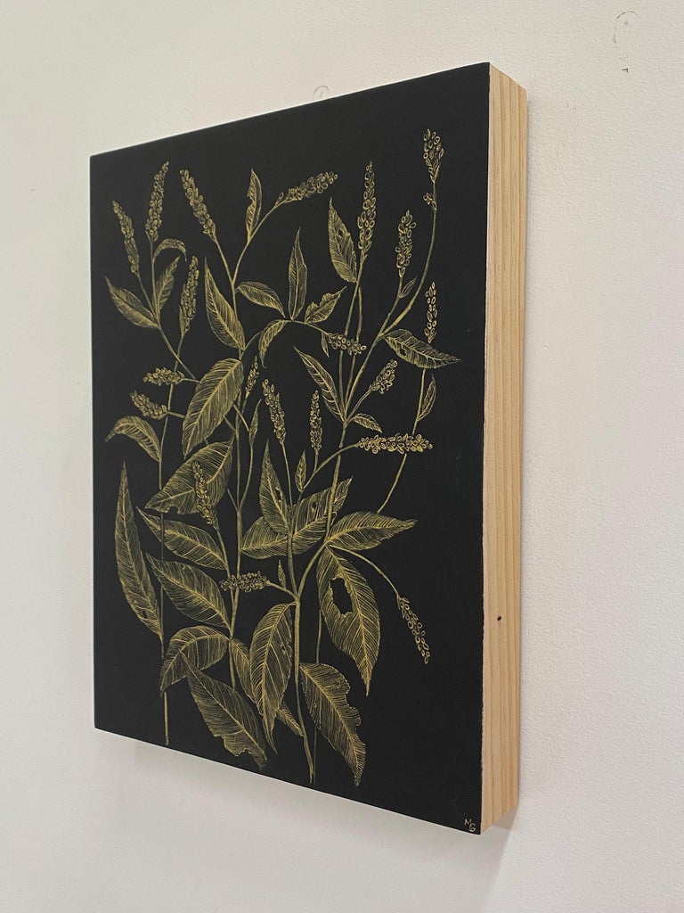 Lady's Thumb, Botanical Drawing, Gold Flower, Leaves on Black Panel For Sale 7