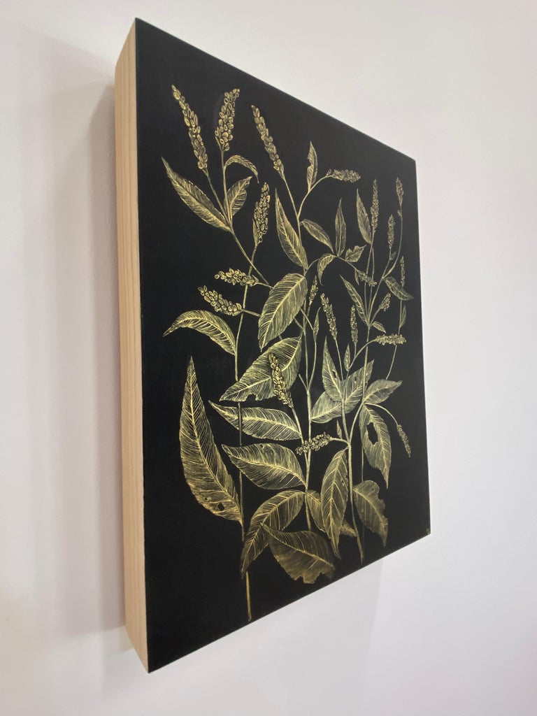 Lady's Thumb, Botanical Drawing, Gold Flower, Leaves on Black Panel For Sale 8