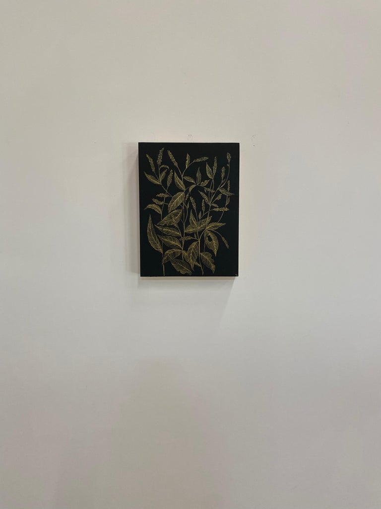 This delicate botanical drawing is made with gold acrylic on cradled panel, painted black. The exploration of ephemerality, and the fragility of a wild Lady's Thumb, its leaves and buds are the focus of this painting by Margot Glass. The exquisite
