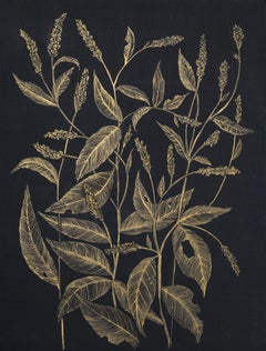 Lady's Thumb, Botanical Drawing, Gold Flower, Leaves on Black Panel