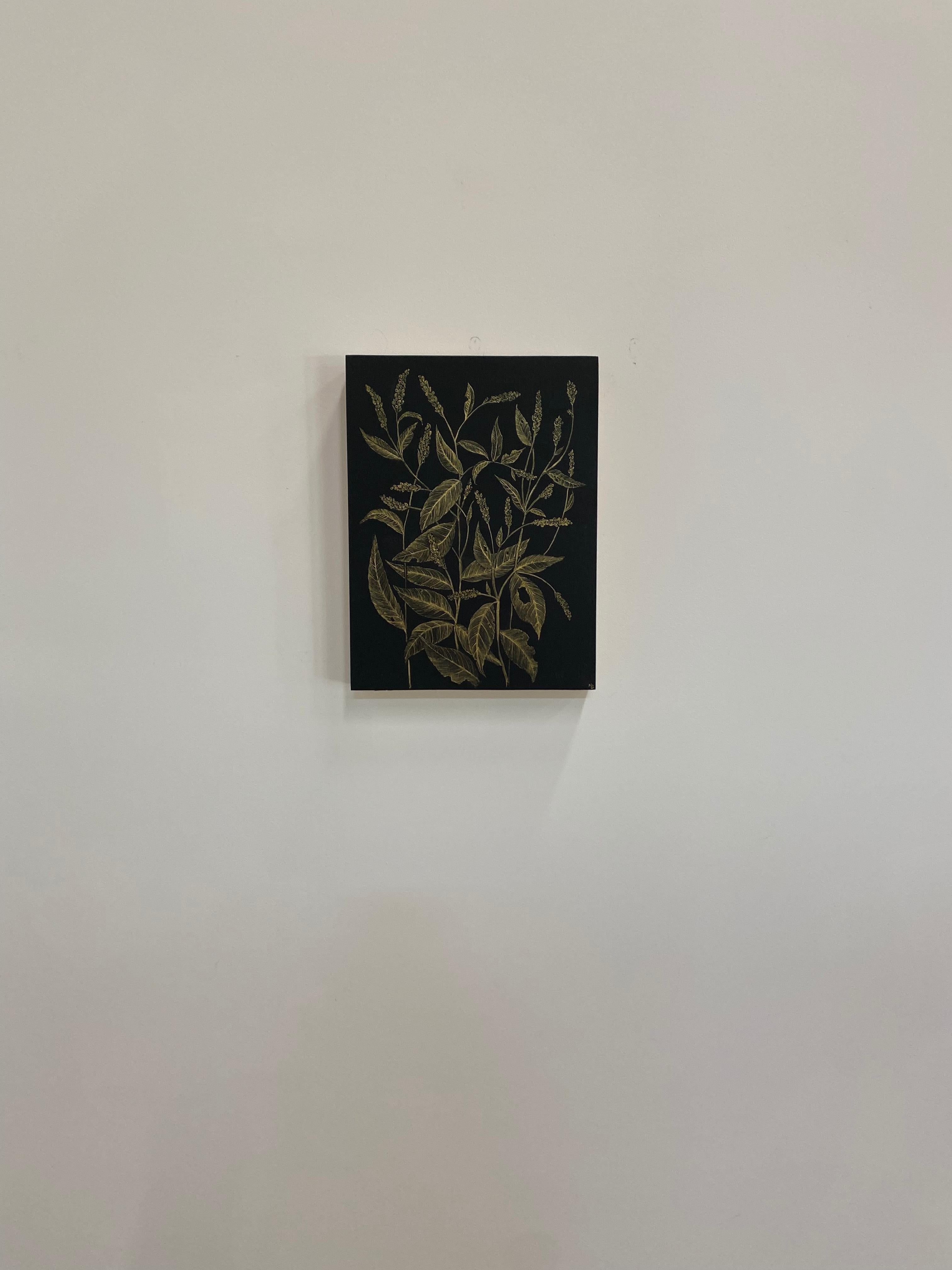 Delicate botanical study in metallic gold acrylic on cradled panel, painted black. The exploration of ephemerality, and the fragility of a wild Lady's Thumb, its leaves and buds are the focus of this painting by Margot Glass. The exquisite beauty of
