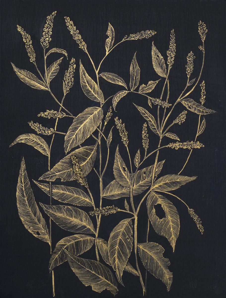 Lady's Thumb, Botanical, Metallic Gold Wildflowers, Leaves, Black Panel - Painting by Margot Glass