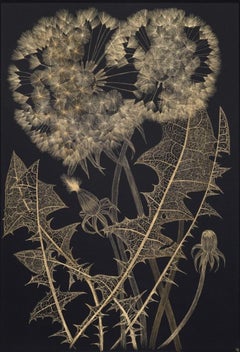 Large Dandelion Eight, Gold Flowers, Leaves, Metallic Botanical Painting Black