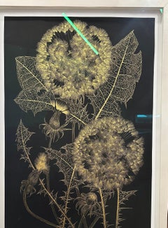 Grande Dandelion Nine - Pittura botanica metallizzata con foglie di piante d'oro, 2024