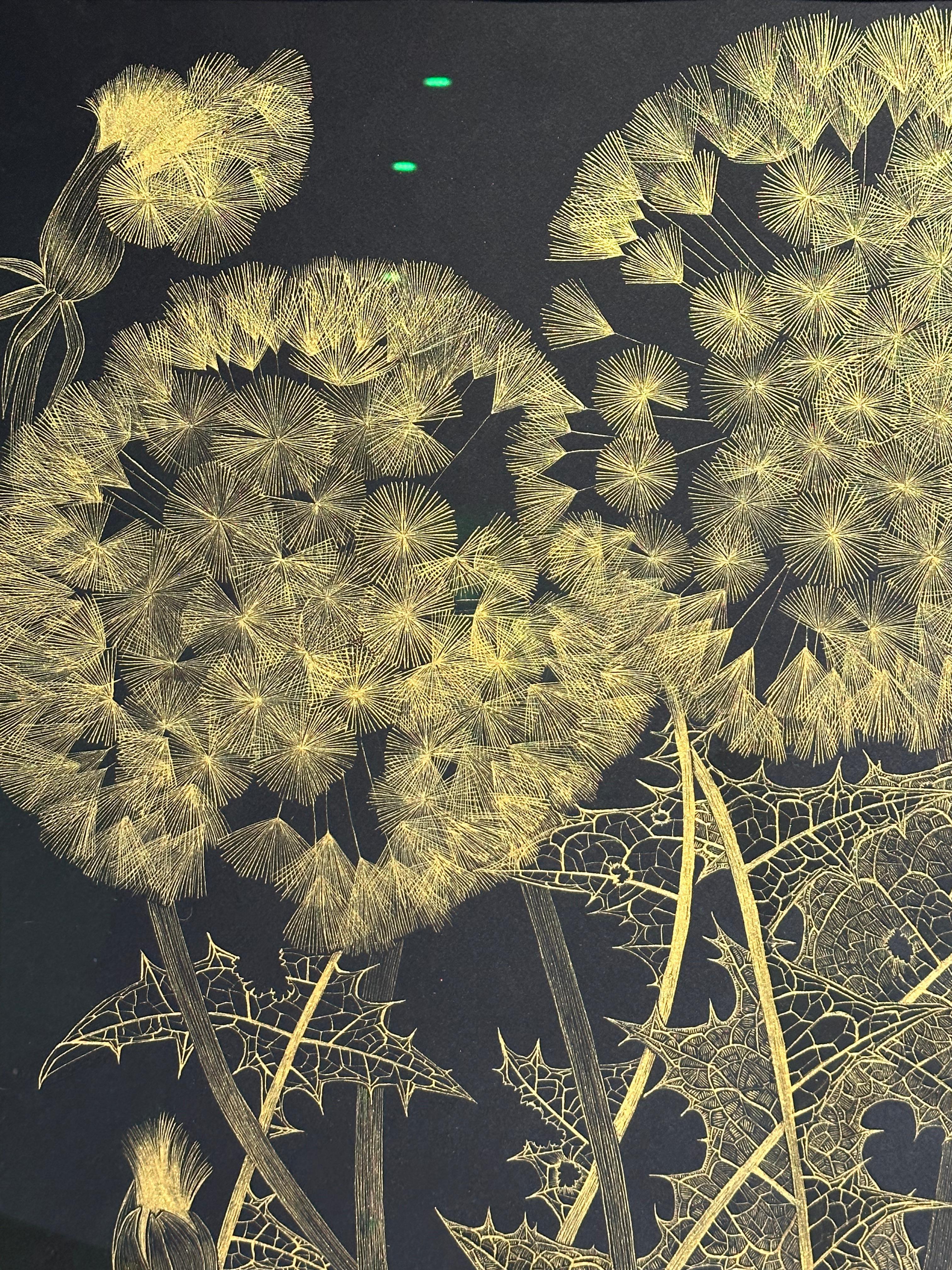 Diese zarte botanische Zeichnung wurde mit goldenem Acryl auf 140 lb Baumwollpapier angefertigt. Die Erforschung der Vergänglichkeit und der Zerbrechlichkeit einer wilden Pusteblume steht im Mittelpunkt dieses Gemäldes von Margot Glass. Die