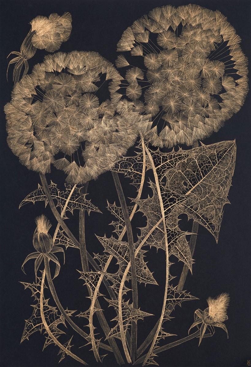 Große Löwenzahn Sechs, Botanische Malerei Schwarz, Gold Blumen, Blätter, Stem – Painting von Margot Glass