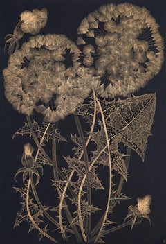 Large Dandelion Six, Botanical Painting Black, Gold Flowers, Leaves, Stem