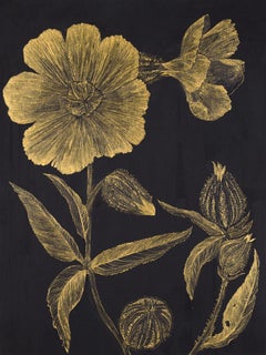 Marshmallow Two, Botanical Painting on Black Panel, Gold Flowers, Leaves, Stem