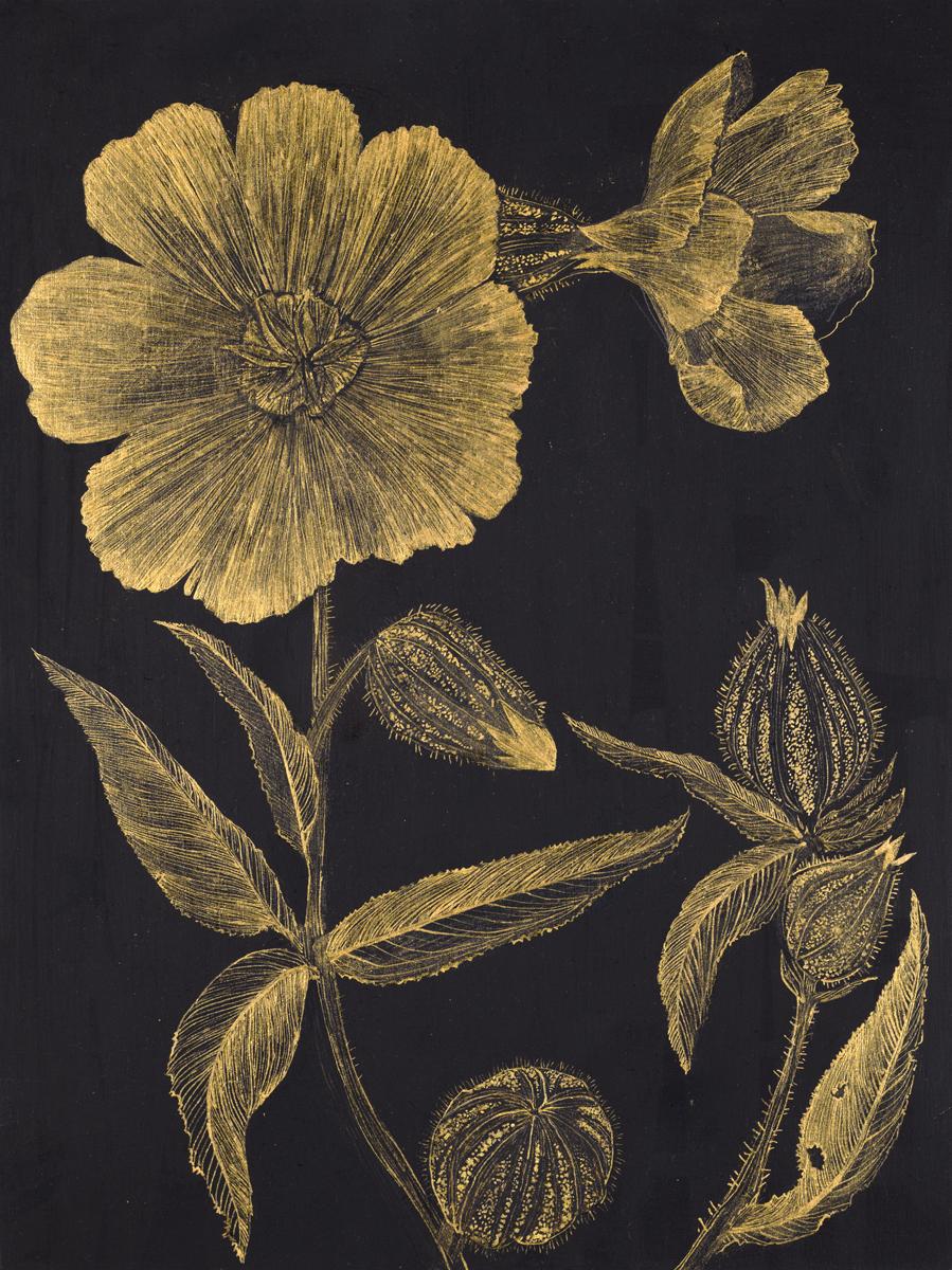 This delicate botanical drawing is made with gold acrylic on cradled panel, painted black. The exploration of ephemerality, and the fragility of a wild marshmallow plant. its leaves, petals and buds are the focus of this painting by Margot Glass.