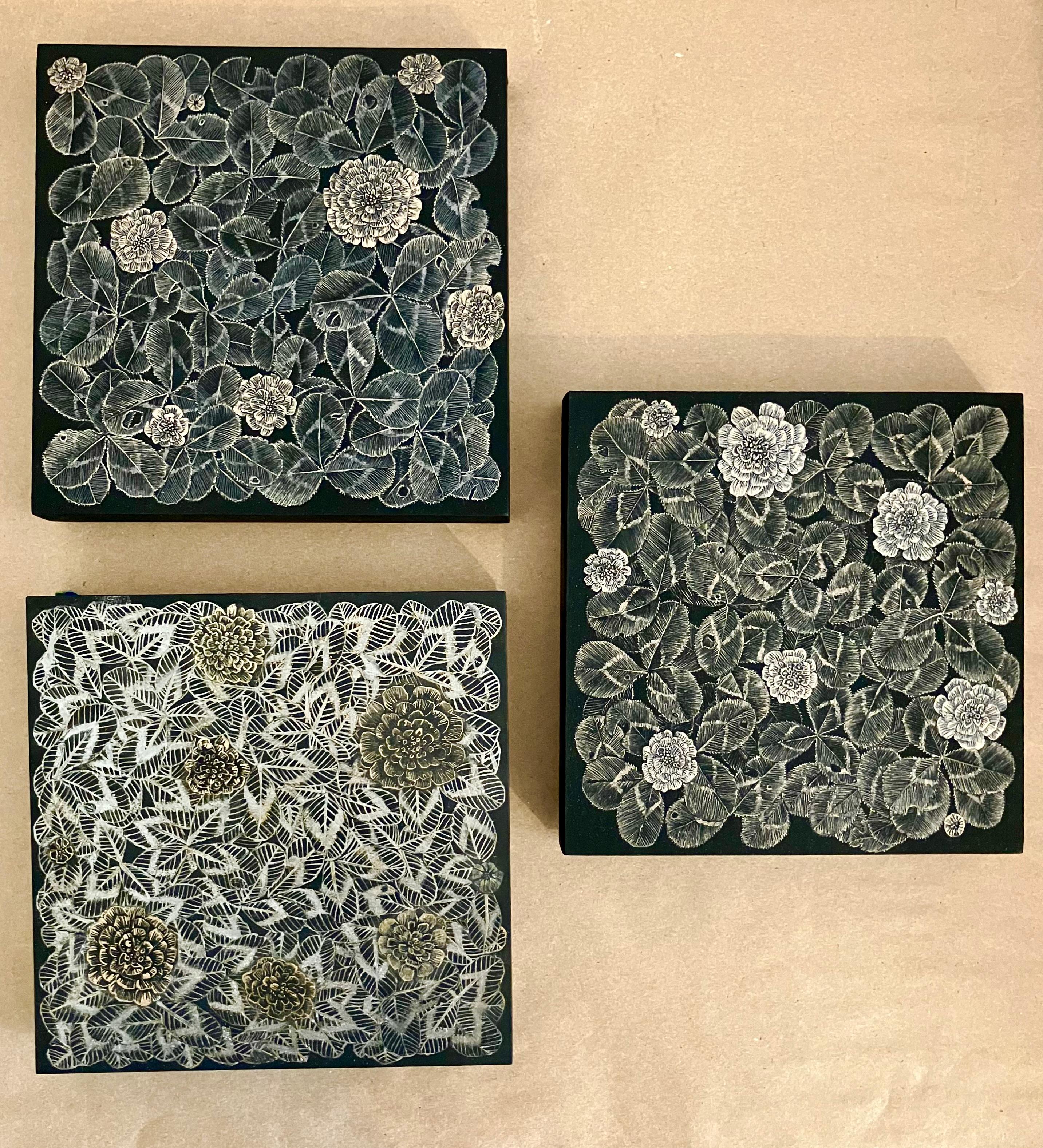 Kleeblatt, Metallic Rot Kleeblatt Pflanze, Stängel, Botanisch Auf Schwarz im Angebot 10