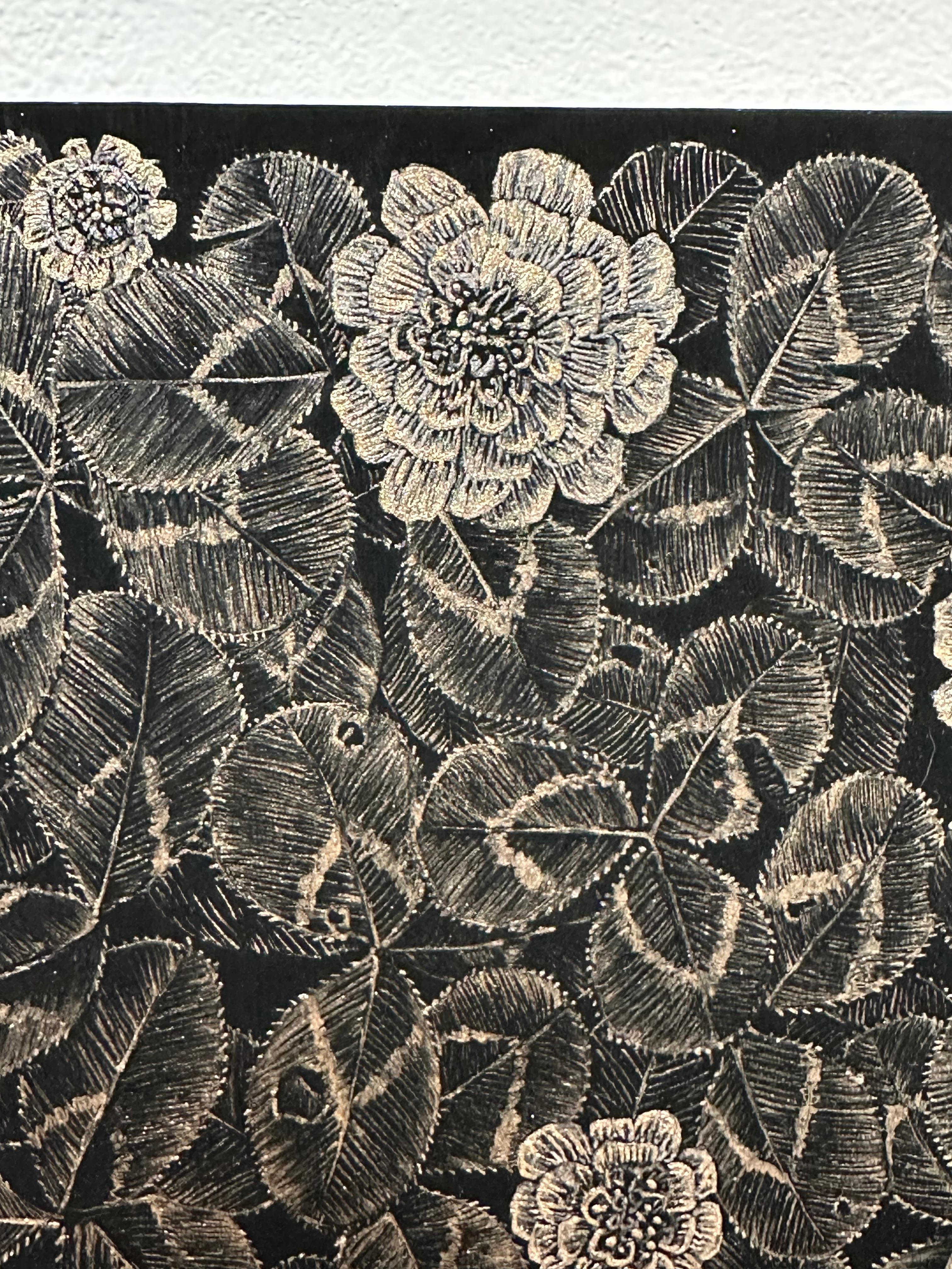 Kleeblatt, Metallic Rot Kleeblatt Pflanze, Stängel, Botanisch Auf Schwarz im Angebot 5