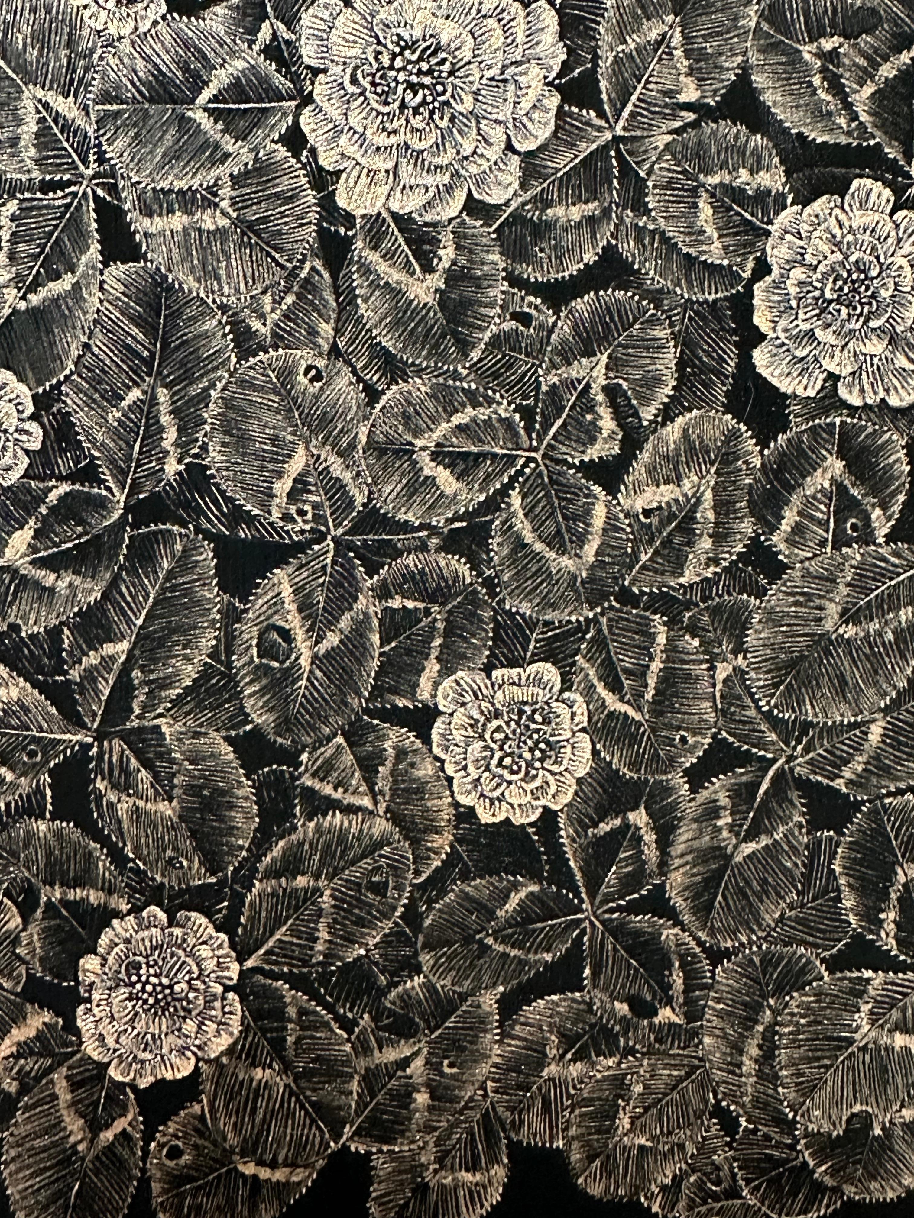 Kleeblatt, Metallic Rot Kleeblatt Pflanze, Stängel, Botanisch Auf Schwarz im Angebot 6