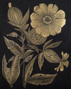White Campion, Botanical Painting on Black Panel with Gold Flowers, Leaves, Stem