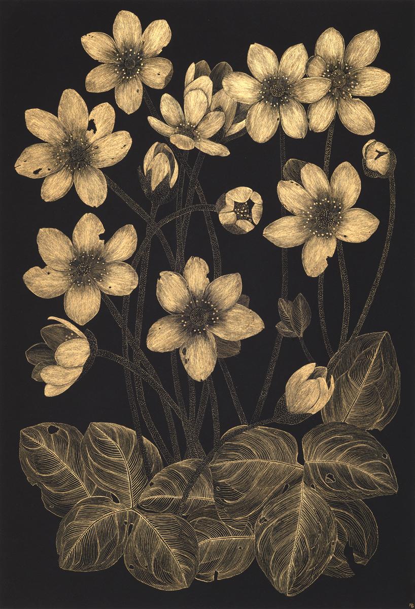 This delicate contemporary botanical drawing is made with metallic gold acrylic on archival paper, painted black. The exploration of ephemerality, and the fragility of a wild anemone flower, its leaves, blossom and buds are the focus of this