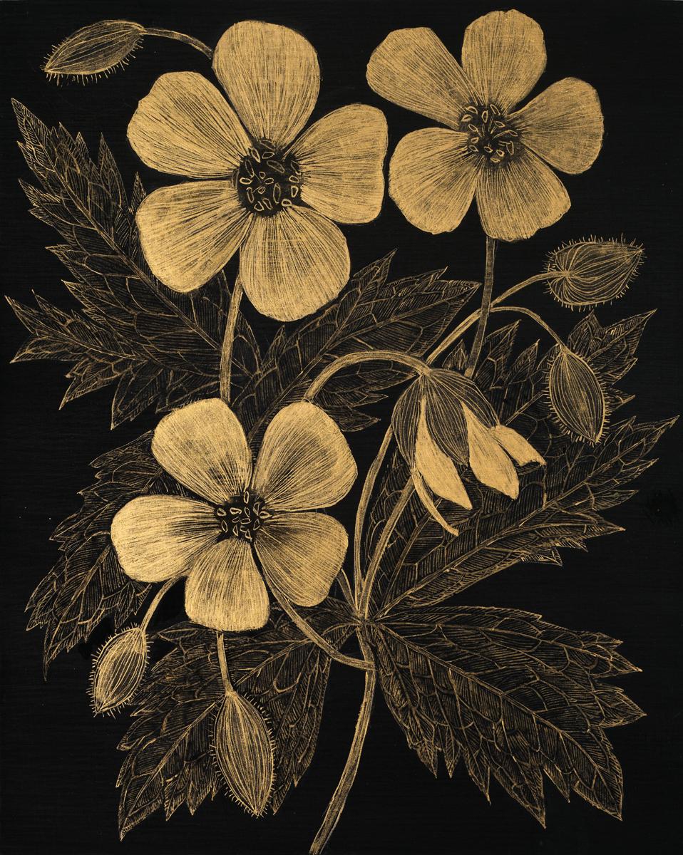 This delicate botanical drawing is made with metallic gold acrylic on cradled panel, painted black. The exploration of ephemerality, and the fragility of a wild geranium, its leaves, flowers and buds are the focus of this painting by Margot Glass.