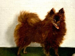 Early 20th century oil portrait of a Brown Pomeranian dog in an interior