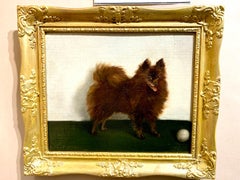 Early 20th century oil portrait of a Brown Pomeranian dog in an interior