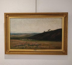 Paesaggio di colline con pascoli